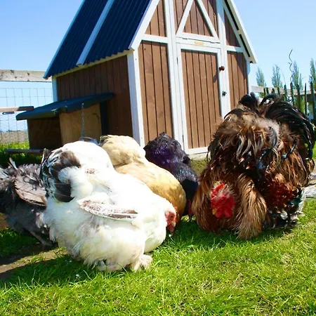 Casa de Férias De Heerlijkheid *