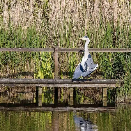 De Heerlijkheid Casa de Férias Hensbroek