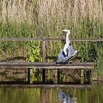 De Heerlijkheid Hébergement de vacances Hensbroek