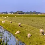 De Heerlijkheid * Hensbroek